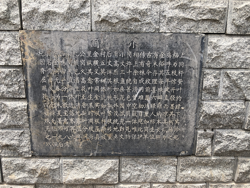 图片 13.png