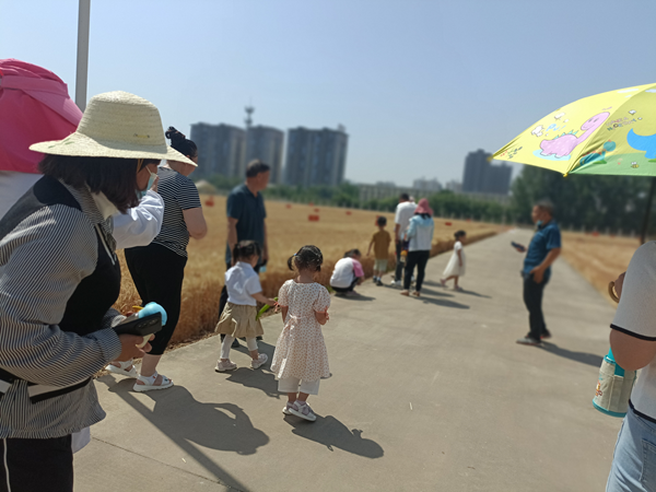 图片6.png