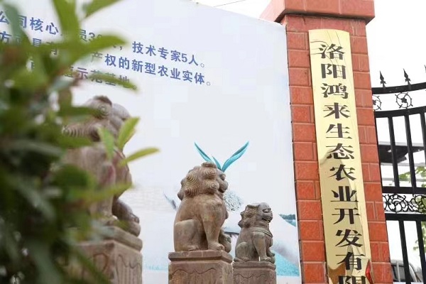 1661330050_4818.jpg