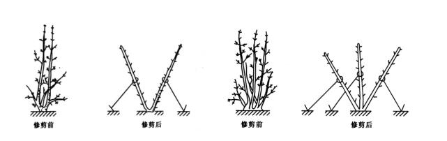 微信图片_20220826182426.jpg