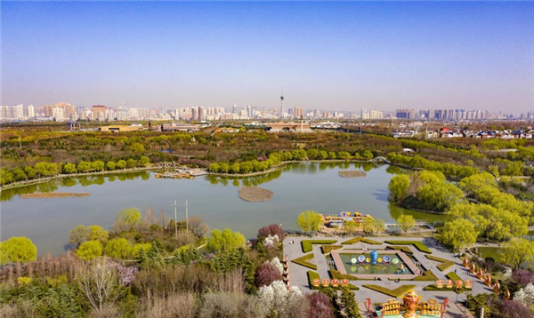 1667200904490086.jpg 隋唐遗址植物园(1063940)-20200311170323.jpg