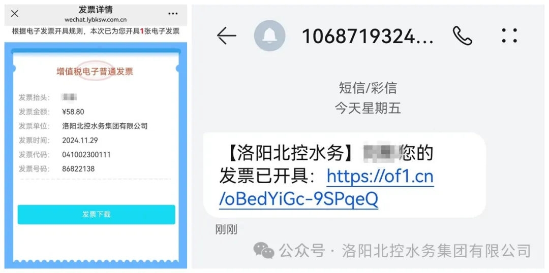 1732932252305.jpg