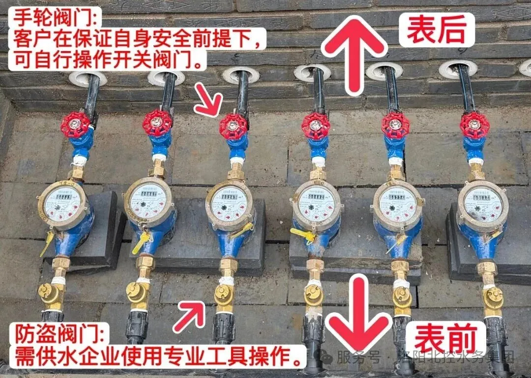 1763379343613009.png 8a374253-e2b2-4319-b446-85a259545a33.png