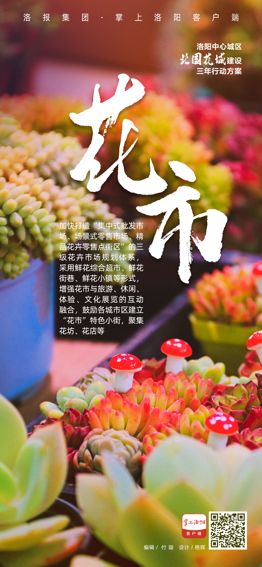 14193003_8746.jpg d1db4636bb148041de98c6b1efbcb4b.jpg