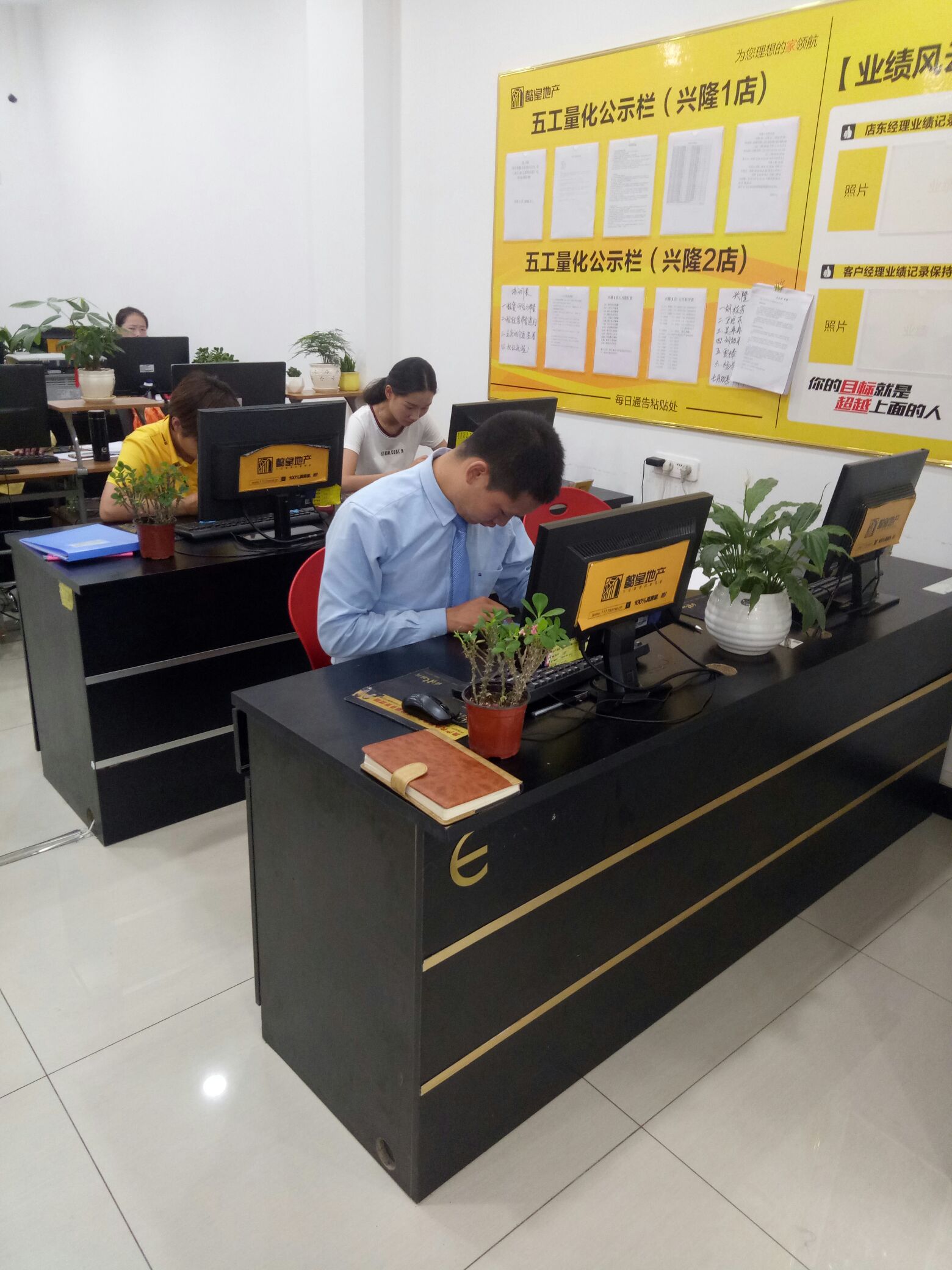 网络公司中介 people.lyd.com.cn