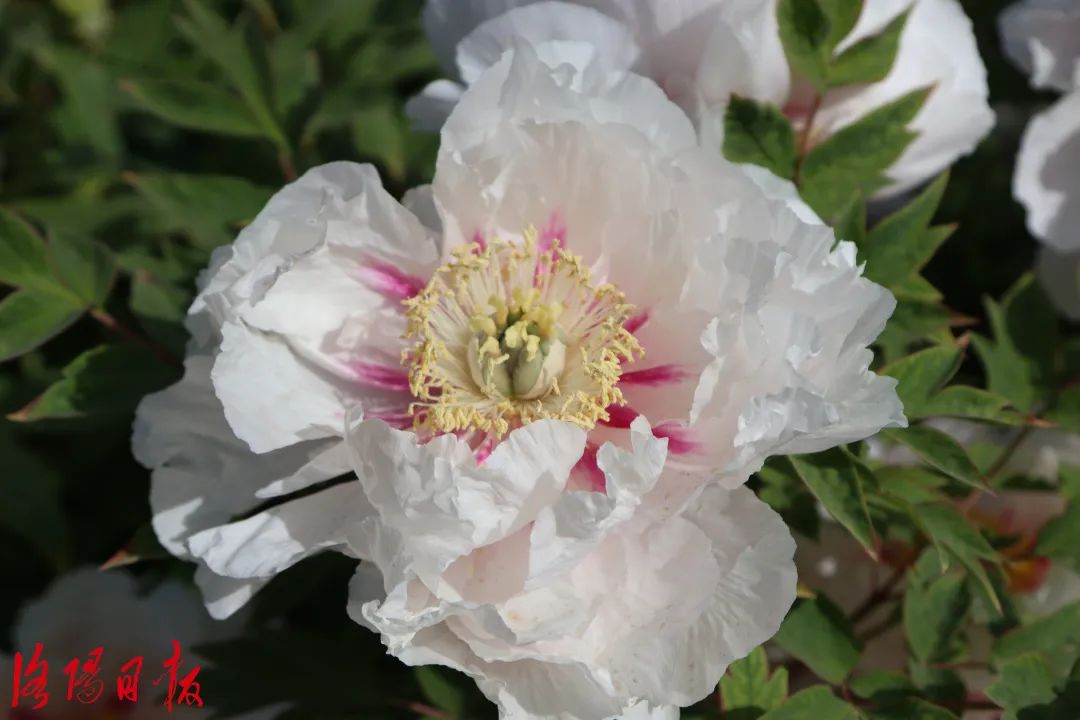 d99452bb01c8e4ee89a753b5e406245d.jpg