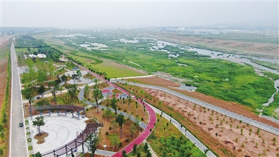 洛河治理后的濕地美景